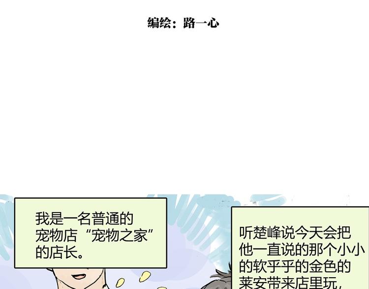 我的同学都很奇怪漫画,孤傲的狂犬与狗2图