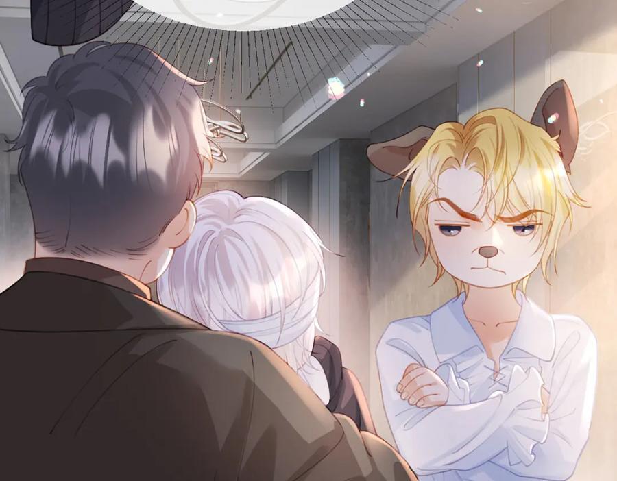 万人嫌重生后火爆全网小说在哪看漫画,第81话 认亲的条件1图