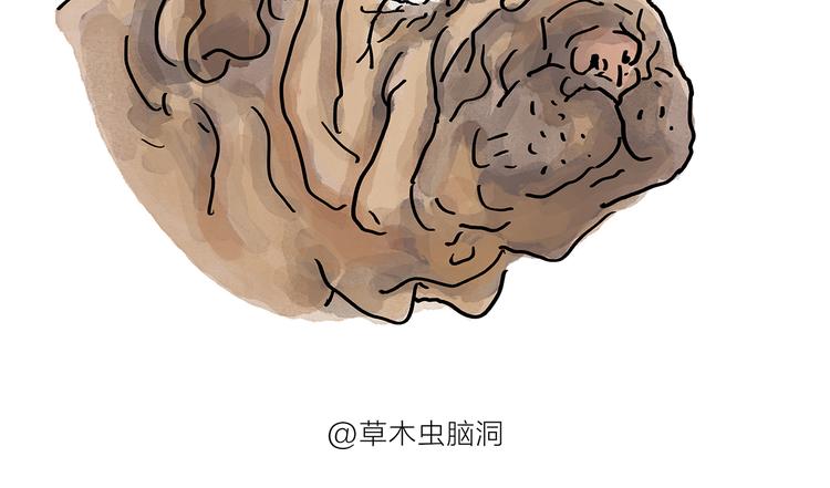 绘本故事3-6岁经典漫画,第197话 来一杯拿铁1图