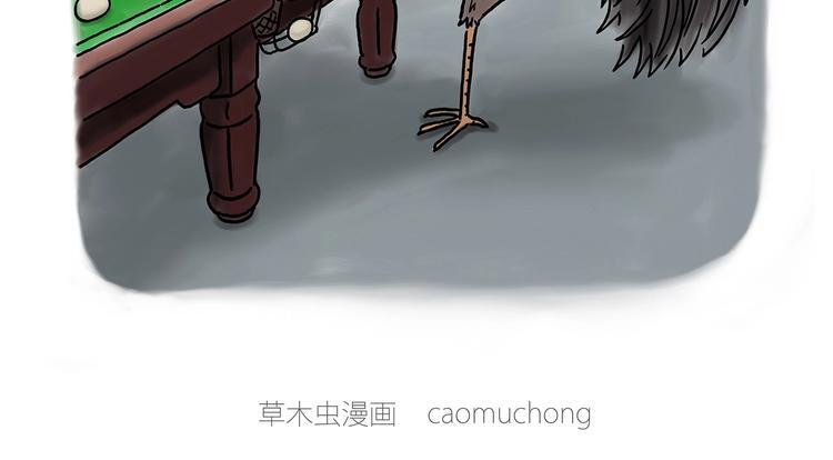 绘心一笑漫画,鸡打台球2图