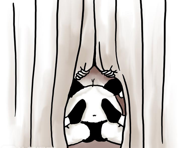 绘本故事3-6岁经典漫画,舞狮迎新年1图
