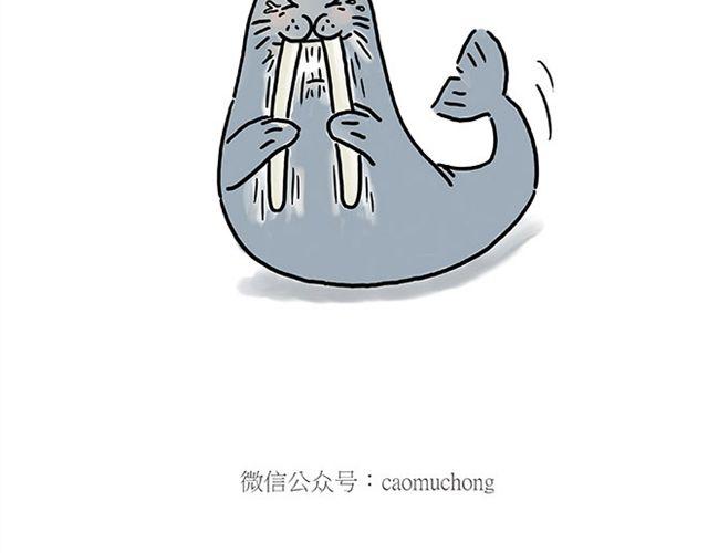 慧心一笑漫画,健身球操1图