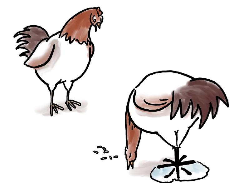 慧心一笑漫画,水上芭蕾1图