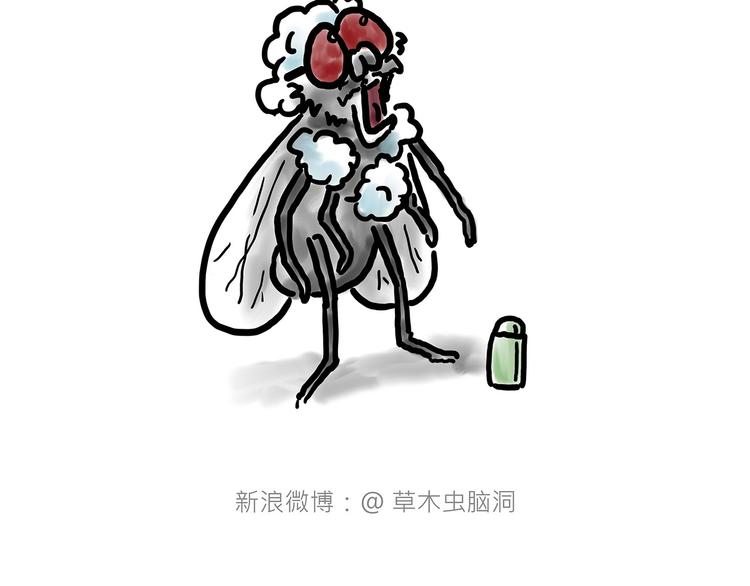 慧新易校官网登录入口漫画,拖马师2图