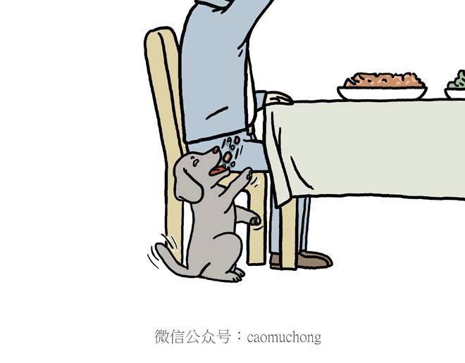 慧心一笑漫画,守护师傅婴儿期1图