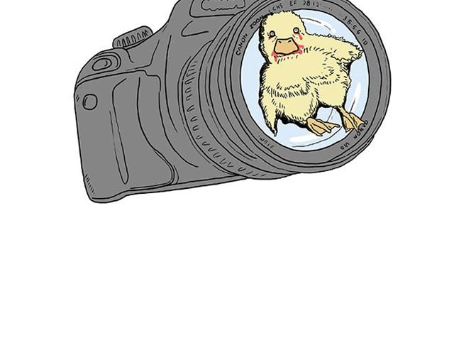 慧心一笑漫画,师傅爱大白1图