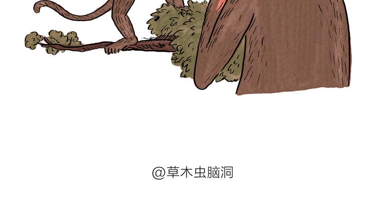 慧心一笑漫画,第182话 一物多用1图