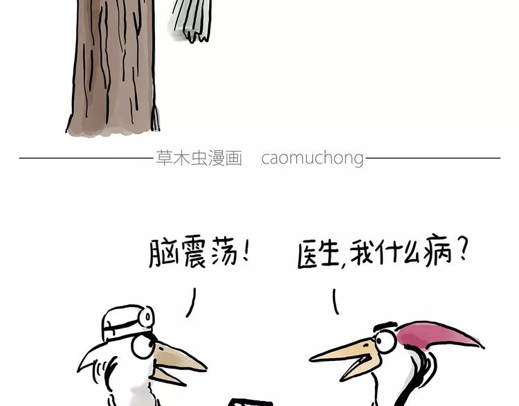 绘心漫客漫画,啄木鸟看病2图