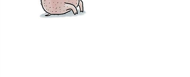 慧心一笑漫画,健身球操2图