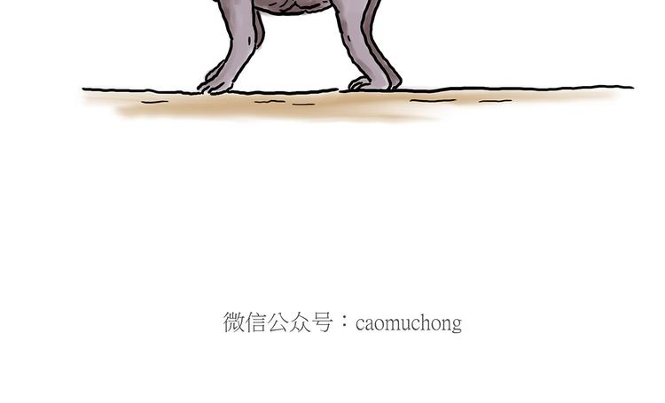 慧心一笑漫画,猴的新年2图