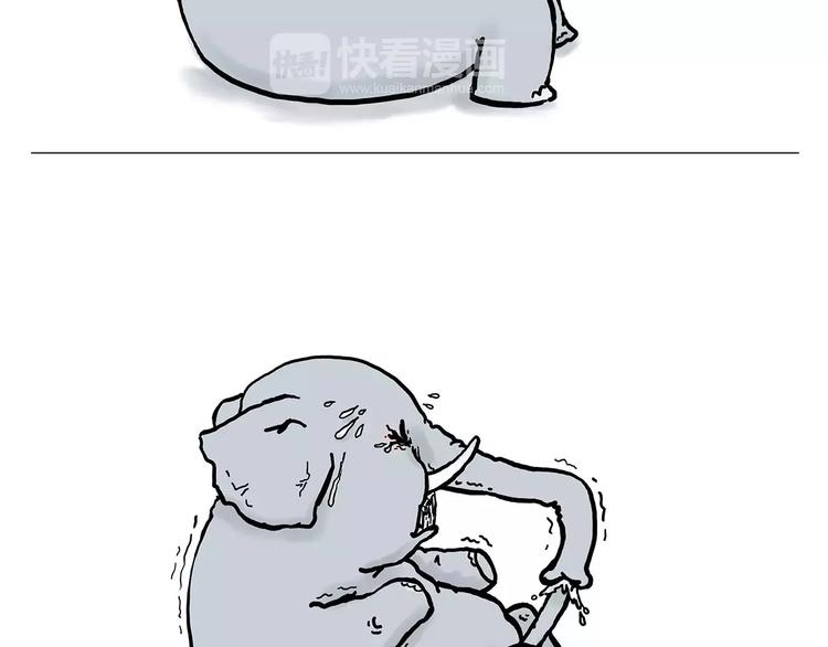 慧心一笑漫画,鸵鸟的秘密1图