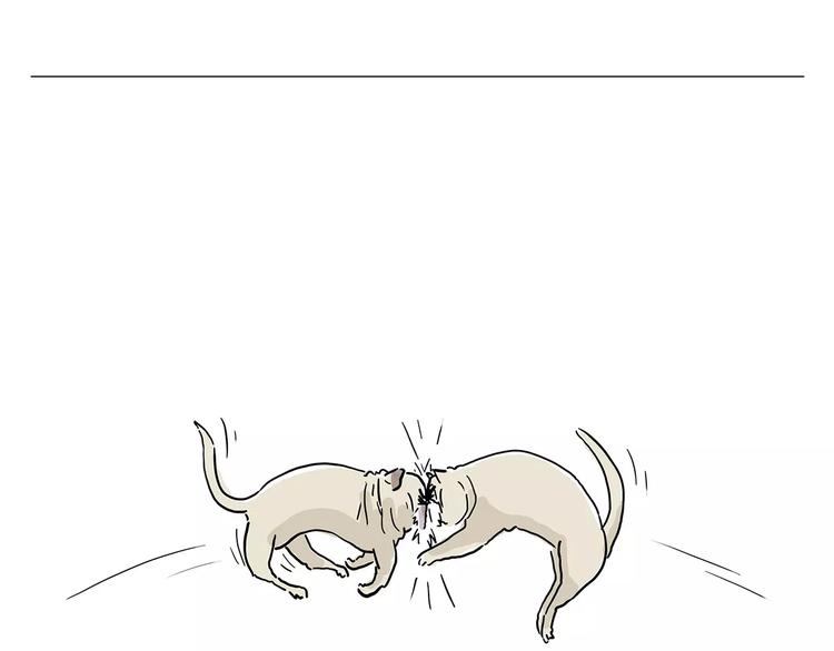 慧心一笑漫画,施工警示牌2图