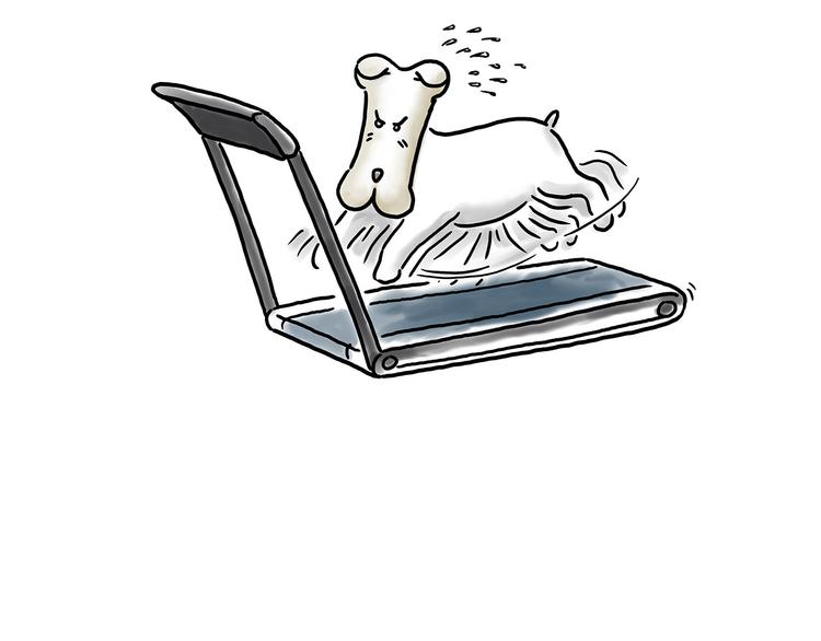 慧心一笑漫画,你看懂了吗？2图