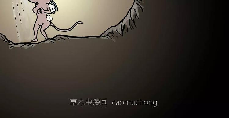 慧心一笑漫画,鸵鸟的秘密2图