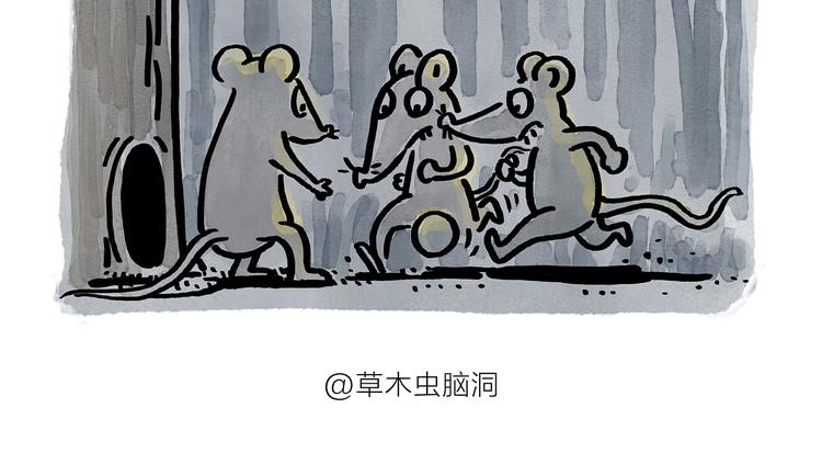 绘心成长青春向阳心理健康手抄报漫画,第177话 中年人的特征2图