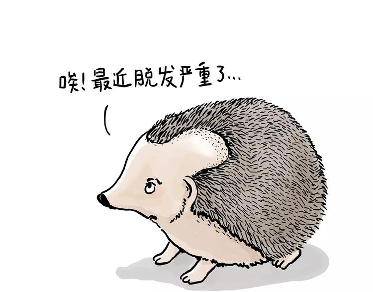 慧心一笑漫画,施工警示牌2图