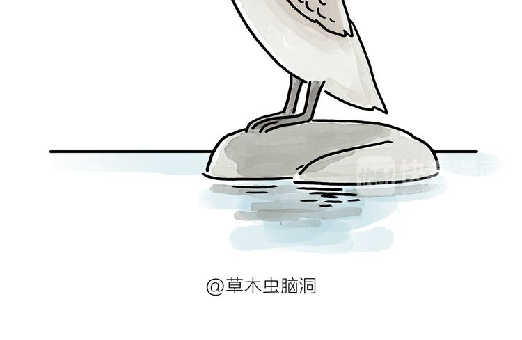 绘心一笑绘画图片漫画,第176话 筋斗云加油2图