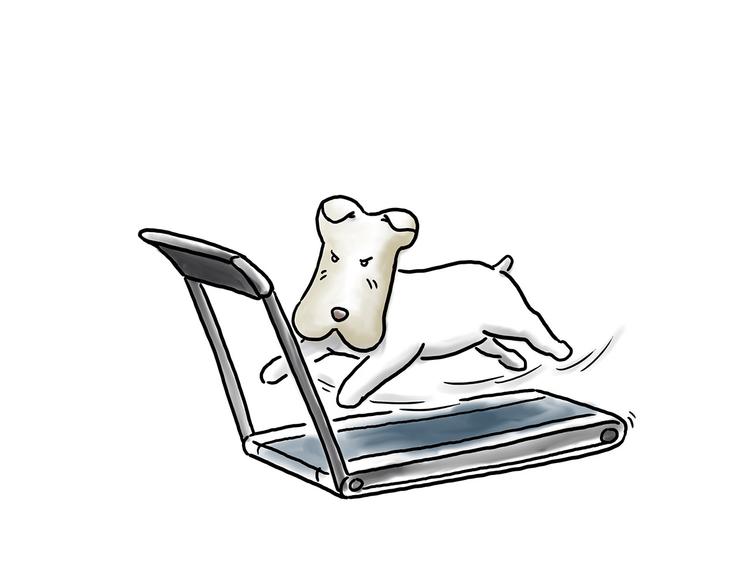 慧心一笑漫画,你看懂了吗？2图