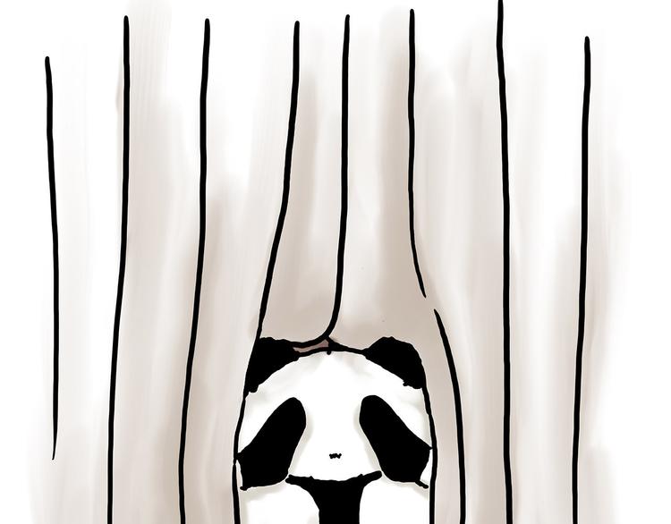 慧心一笑漫画,舞狮迎新年1图
