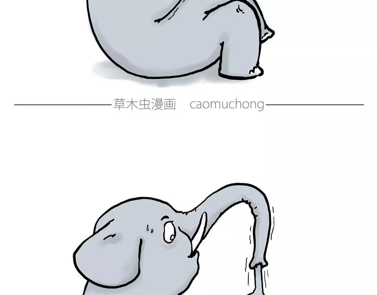 慧心一笑漫画,鸵鸟的秘密2图
