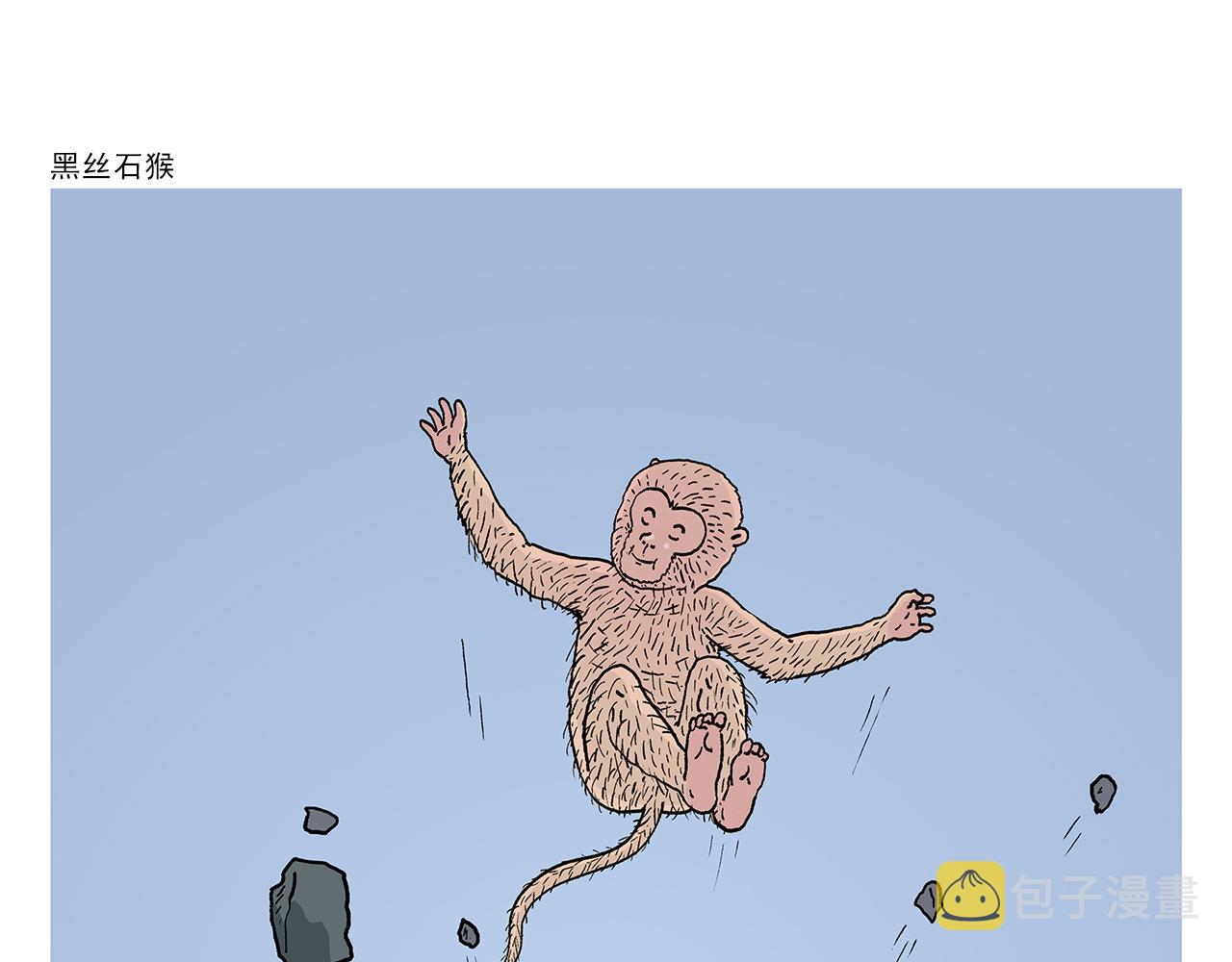 绘心一笑什么意思漫画,第403话 黑丝石猴1图