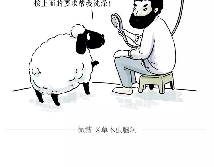 慧心一笑漫画,第157话 洗羊说明书1图