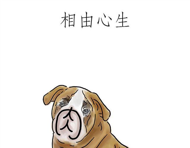 慧心一笑漫画,师傅直升机1图