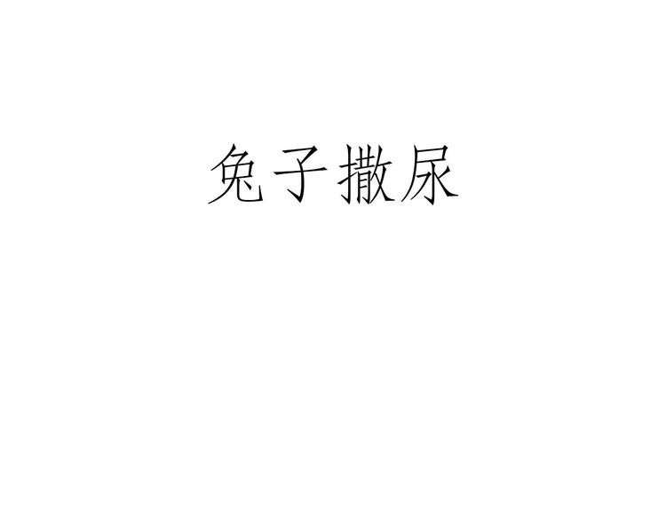 绘本故事3-6岁经典漫画,穿哪双鞋2图