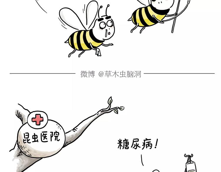 慧心一笑漫画,第152话 苹果鸟？？？2图