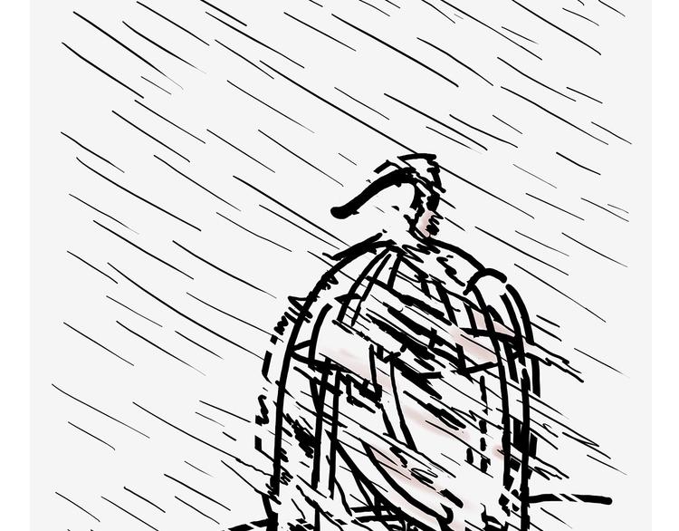 慧心一笑漫画,素面朝天2图