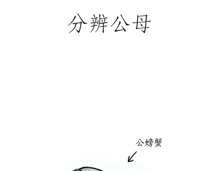 绘心艺术工作室漫画,胶原蛋白2图