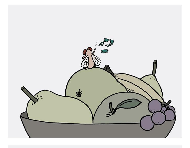 慧心一笑漫画,第229话 模特儿苍蝇1图