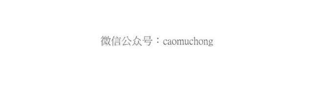 慧心一笑漫画,卖糕的师傅1图