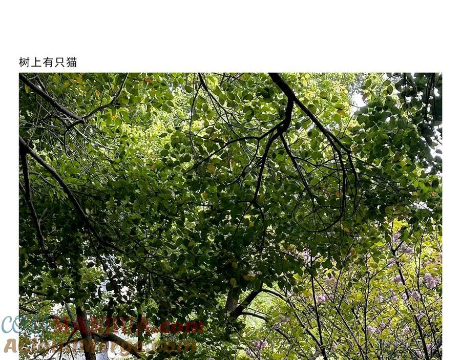 慧心一笑漫画,第429话 师父热疯了1图
