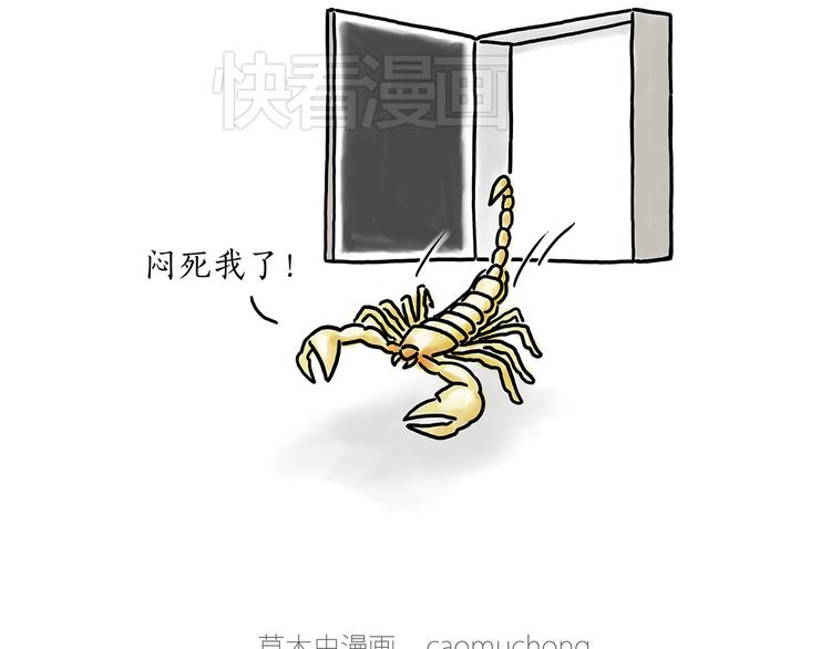 绘心一笑漫画完整版漫画,小鸡炖蘑菇1图