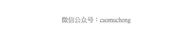 绘本故事3-6岁经典漫画,师傅保健2图