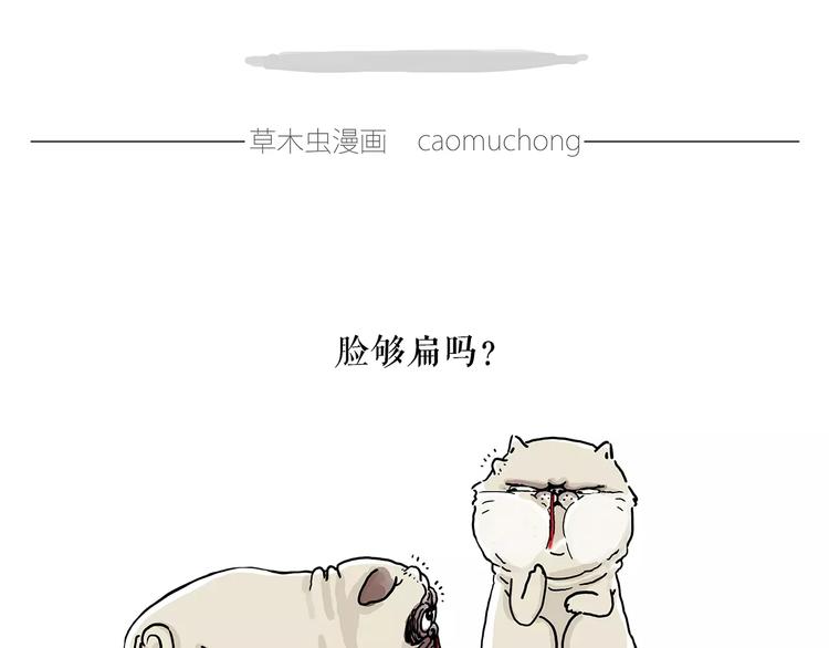 慧心一笑漫画,施工警示牌1图