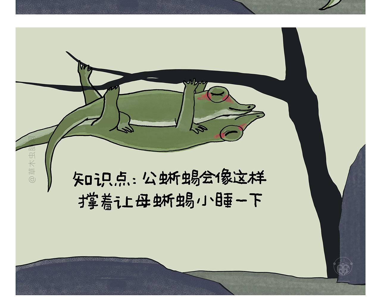 绘心语漫画,第394话 一路跟拍1图