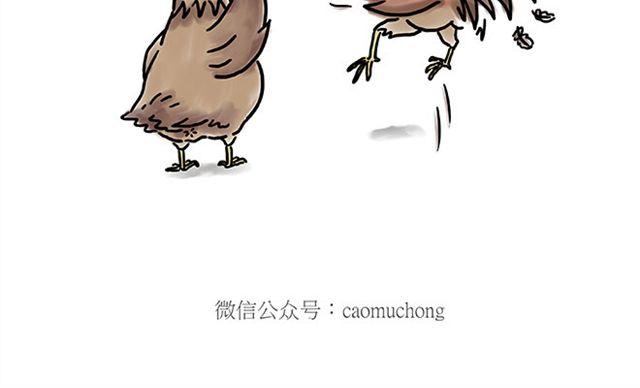 绘心一笑绘画图片漫画,健身球操2图