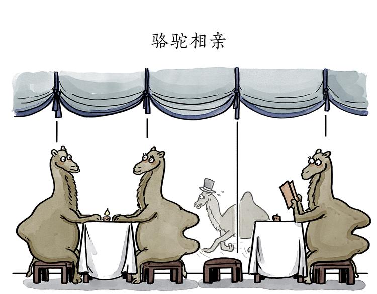 慧心一笑漫画,第187话 骆驼相亲1图