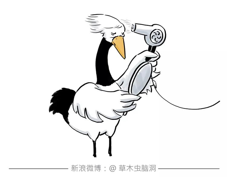 绘心成长青春向阳心理健康手抄报漫画,第162话 化妆1图