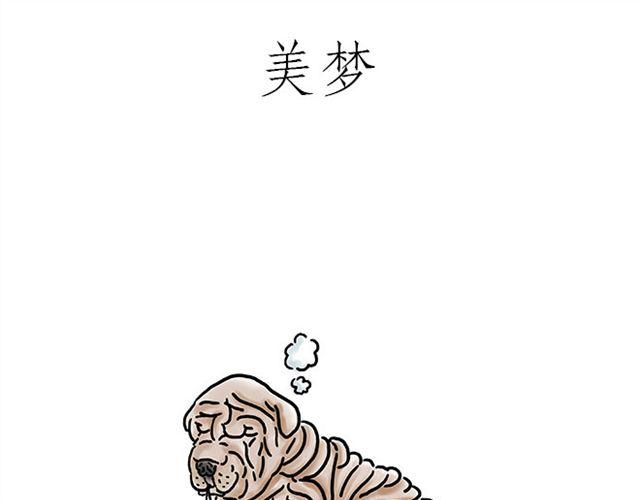 绘心绘画漫画,师傅的马戏1图