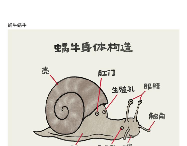 绘本故事3-6岁经典漫画,第346话 脸上掉下个取经人1图