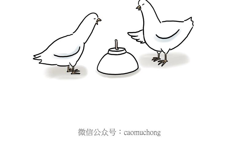 慧心一笑漫画,巧手小马2图