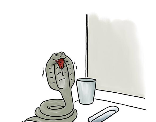 绘心画室漫画,贪吃的蝙蝠2图