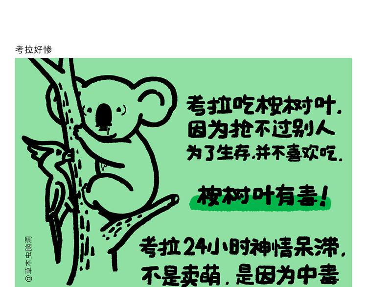 绘心甚八动漫漫画,第291话 无法拒绝的“双眸”2图