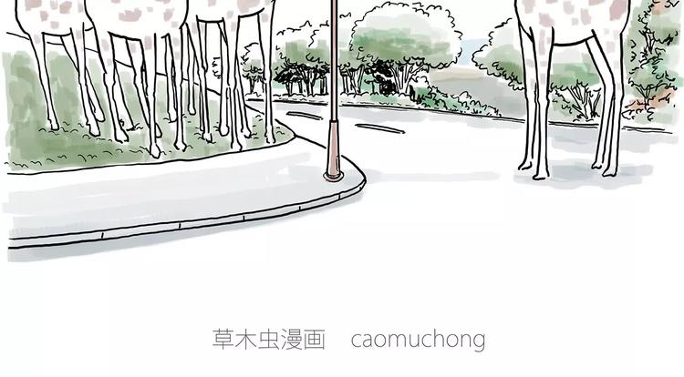 绘心成长青春向阳心理健康手抄报漫画,骚气的头箍1图