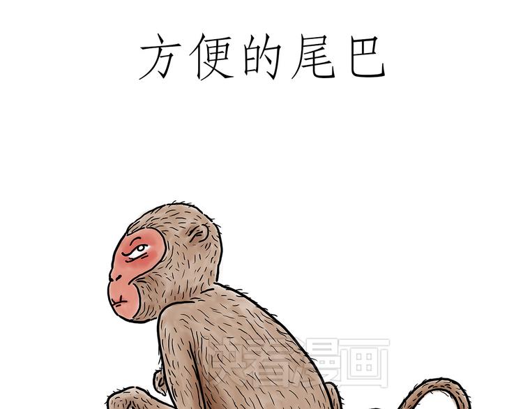 慧心一笑漫画,猴的新年1图