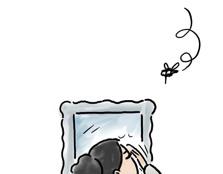 绘本故事3-6岁经典漫画,穿哪双鞋1图