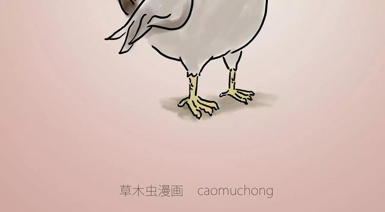 绘心甚八动漫漫画,烹饪师傅1图